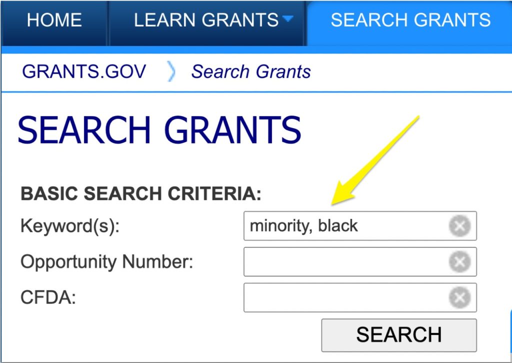 Search results page with grant opportunities for Black people.